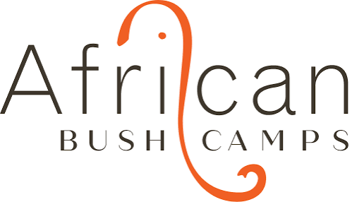 African Bush Camps